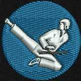 Ace Martial Arts Academy logo