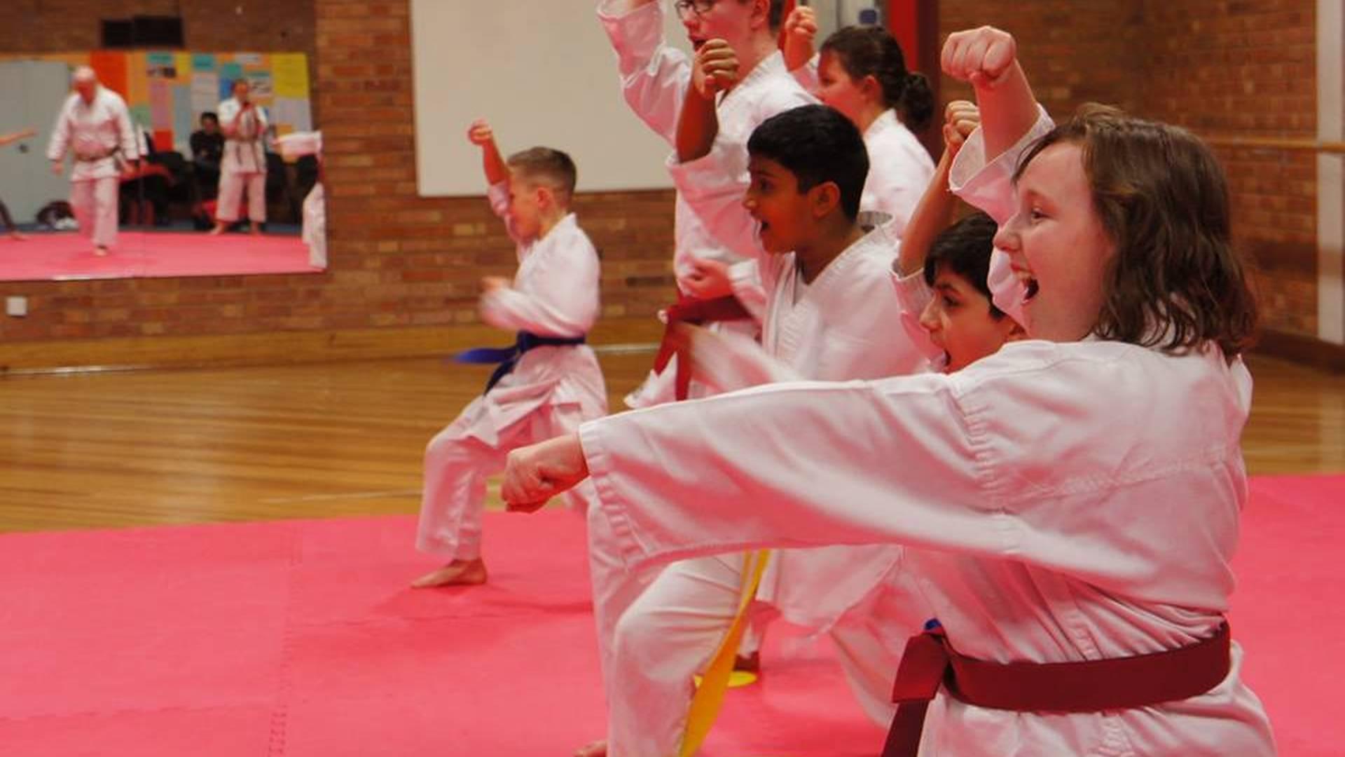WadoKai Worcester Karate photo
