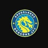 Brooklands Dragons JFC logo