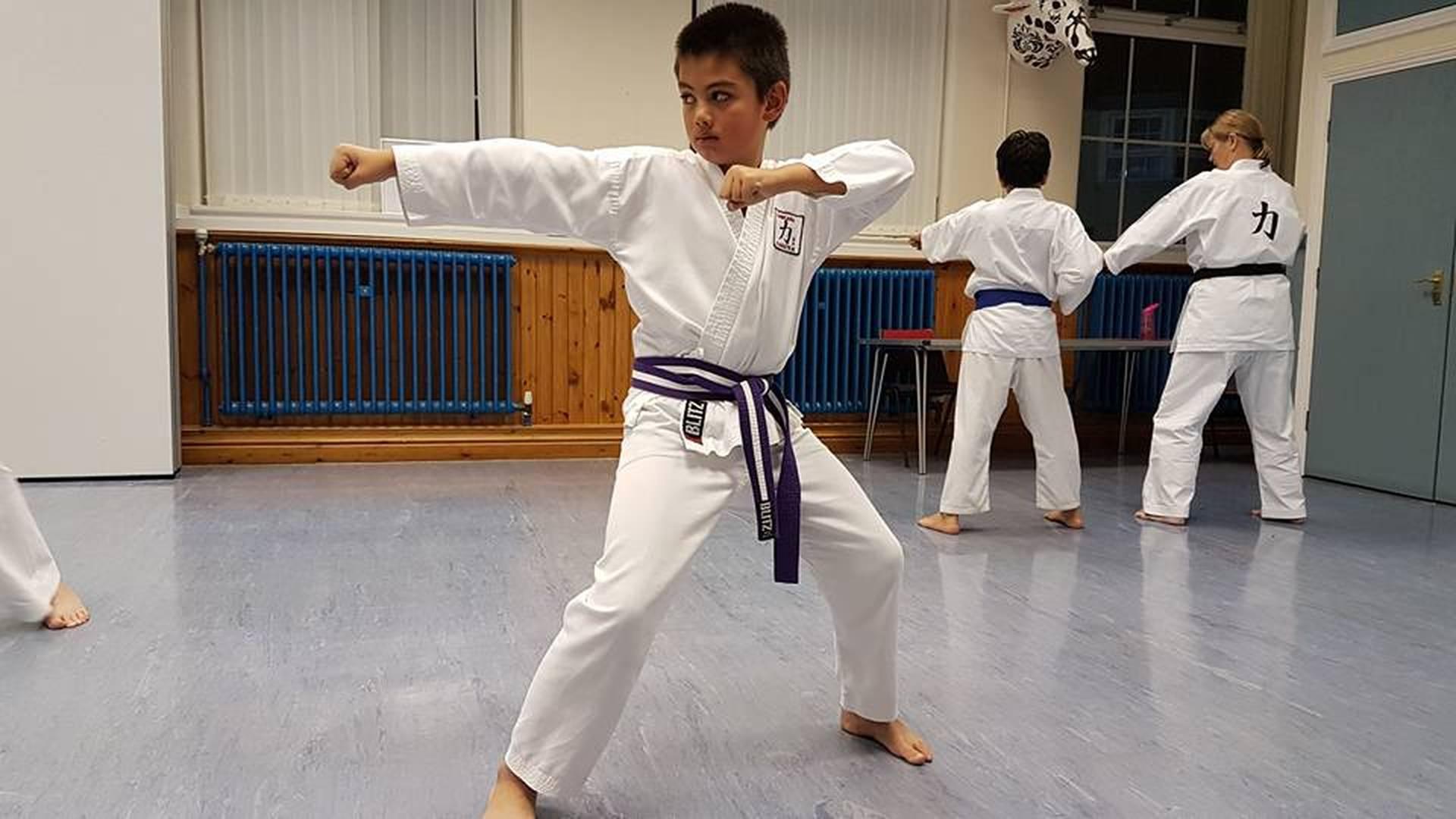 Chikara Karate Kai photo