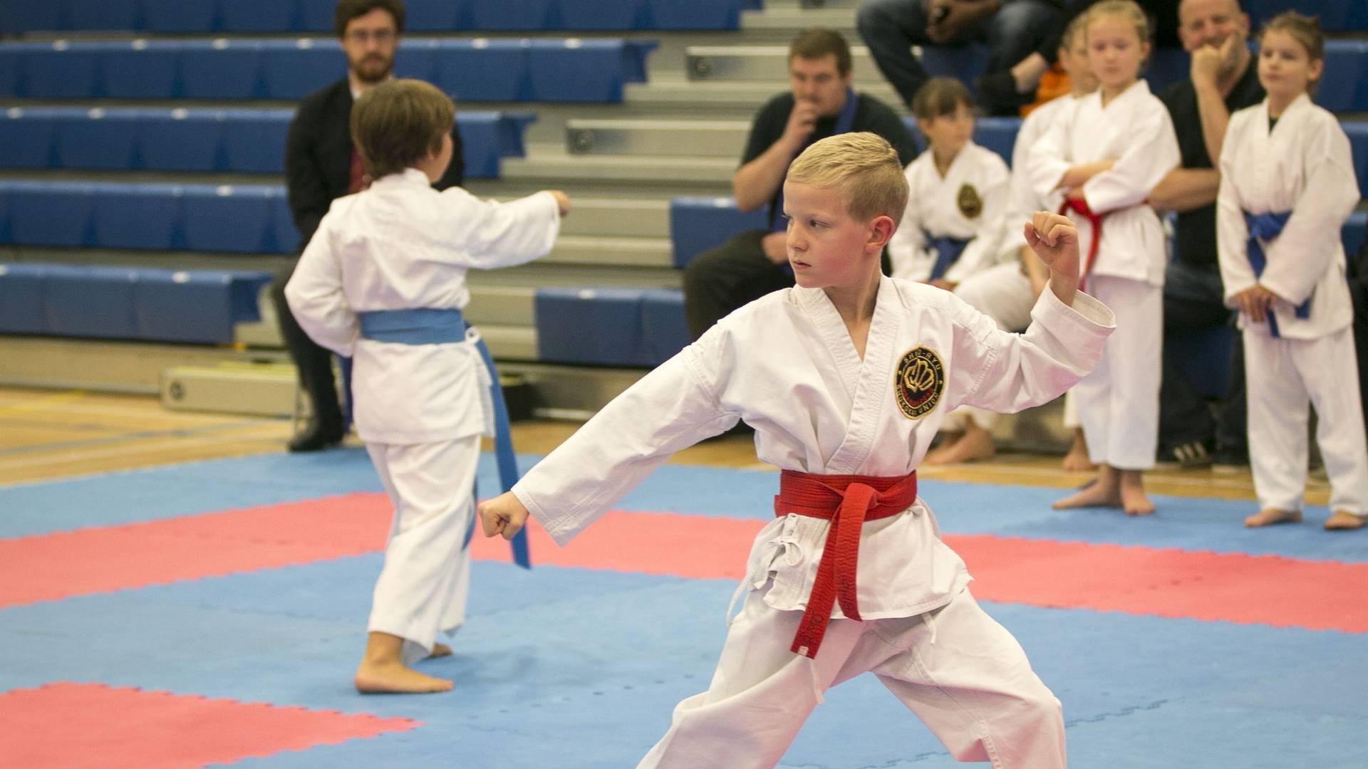 Altrincham Karate Academy photo