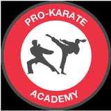 Wado-Ryu Karate School Surrey logo
