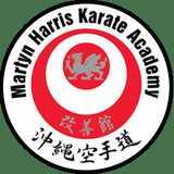 Martyn Harris Karate Academy logo