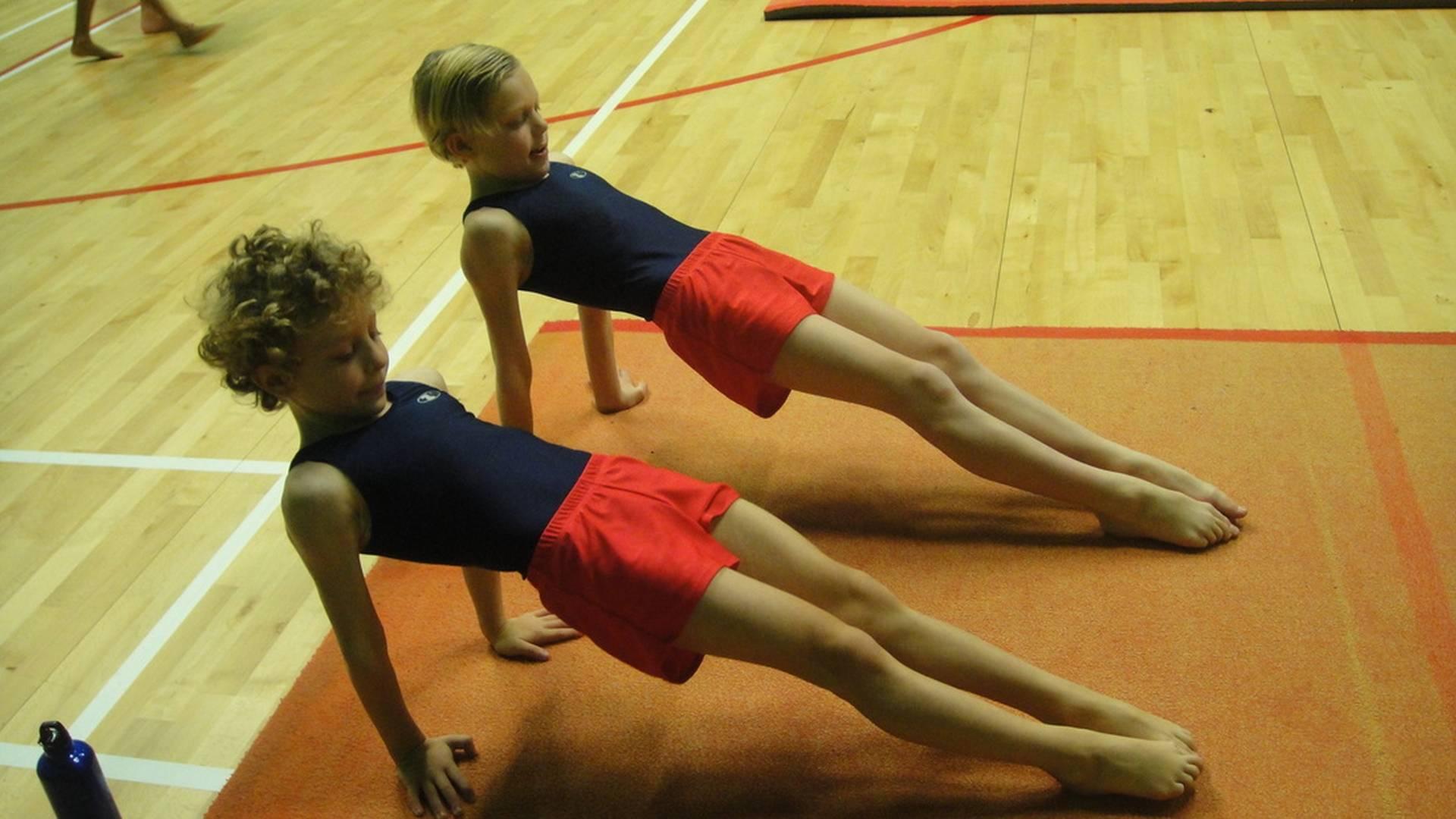 Ashmole Phoenix Gymnastics photo