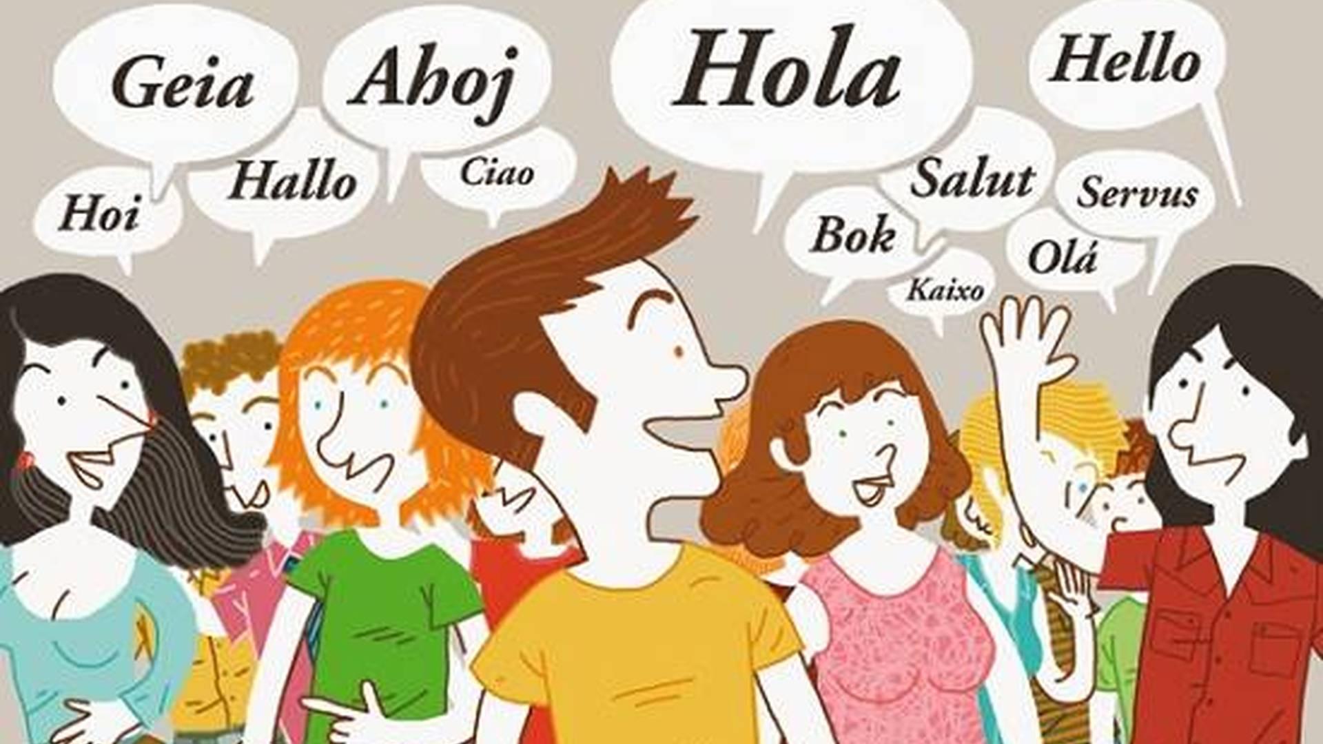 Spanish Connection Language School photo