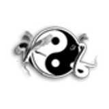 The Wing Chun School logo