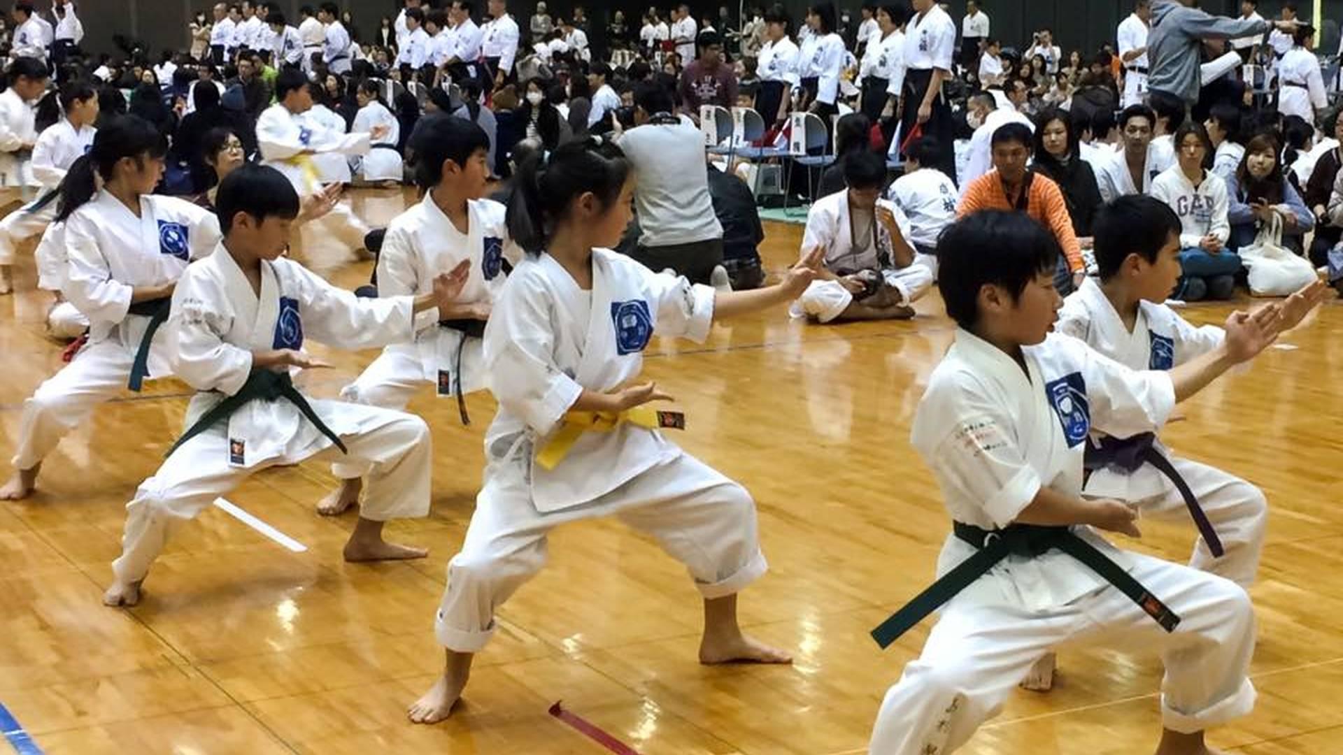 The Reiwaryu Ryushinkan School Of Karate photo