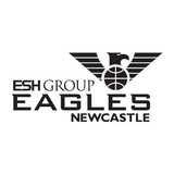 Mini Eagles logo