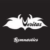 Veritas Gymnastics logo