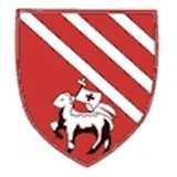 Droylsden Juniors Football Club logo
