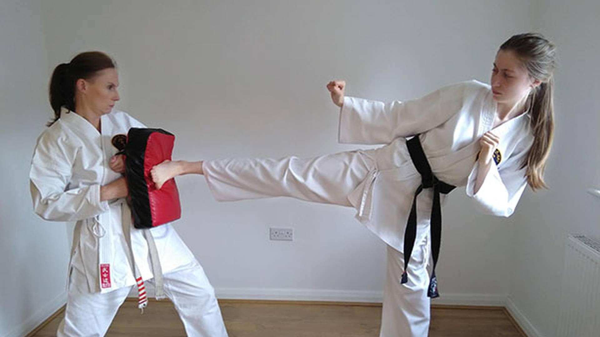 Dento-Kai Karate photo