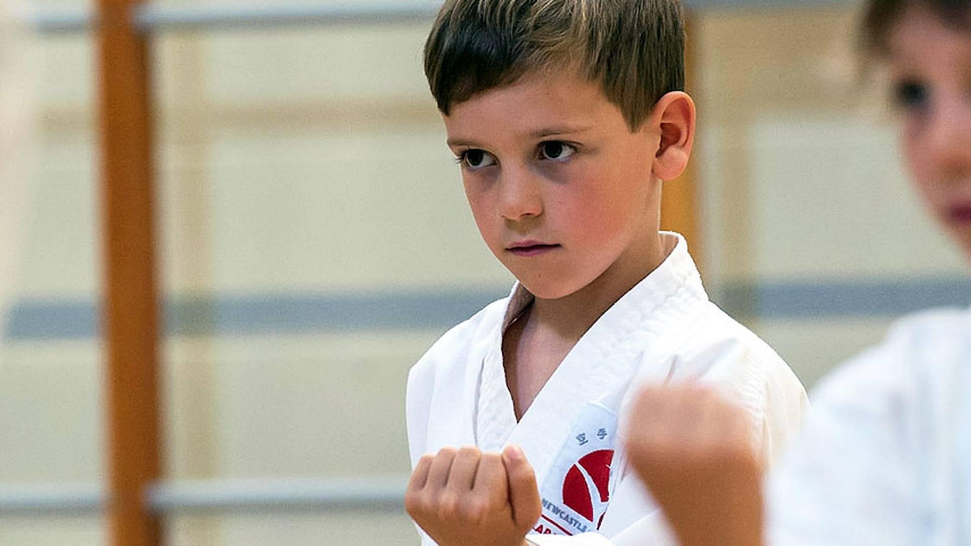 Newcastle Goju-Ryu Karate Academy photo