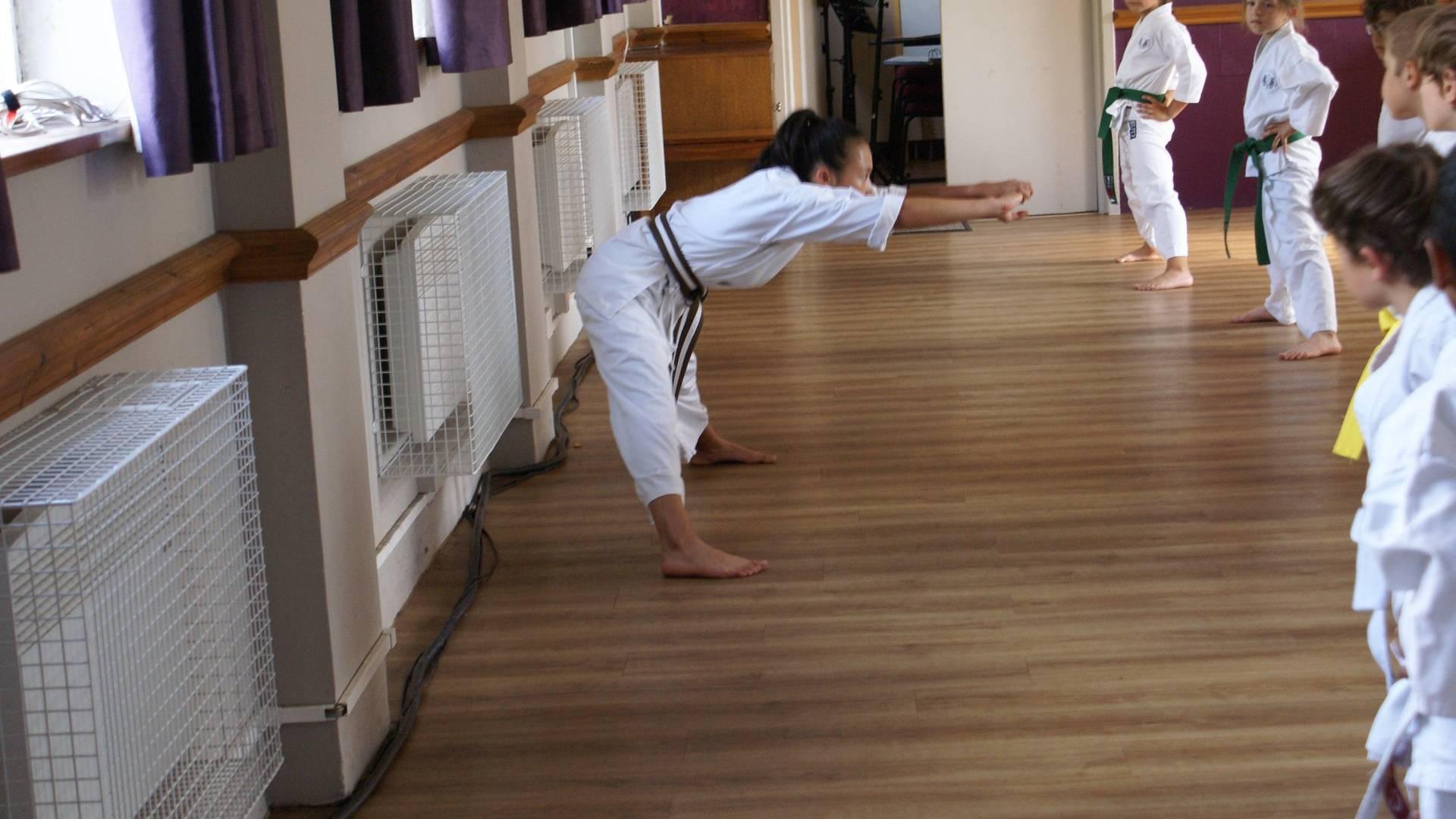 Muswell Hill Karate Academy photo