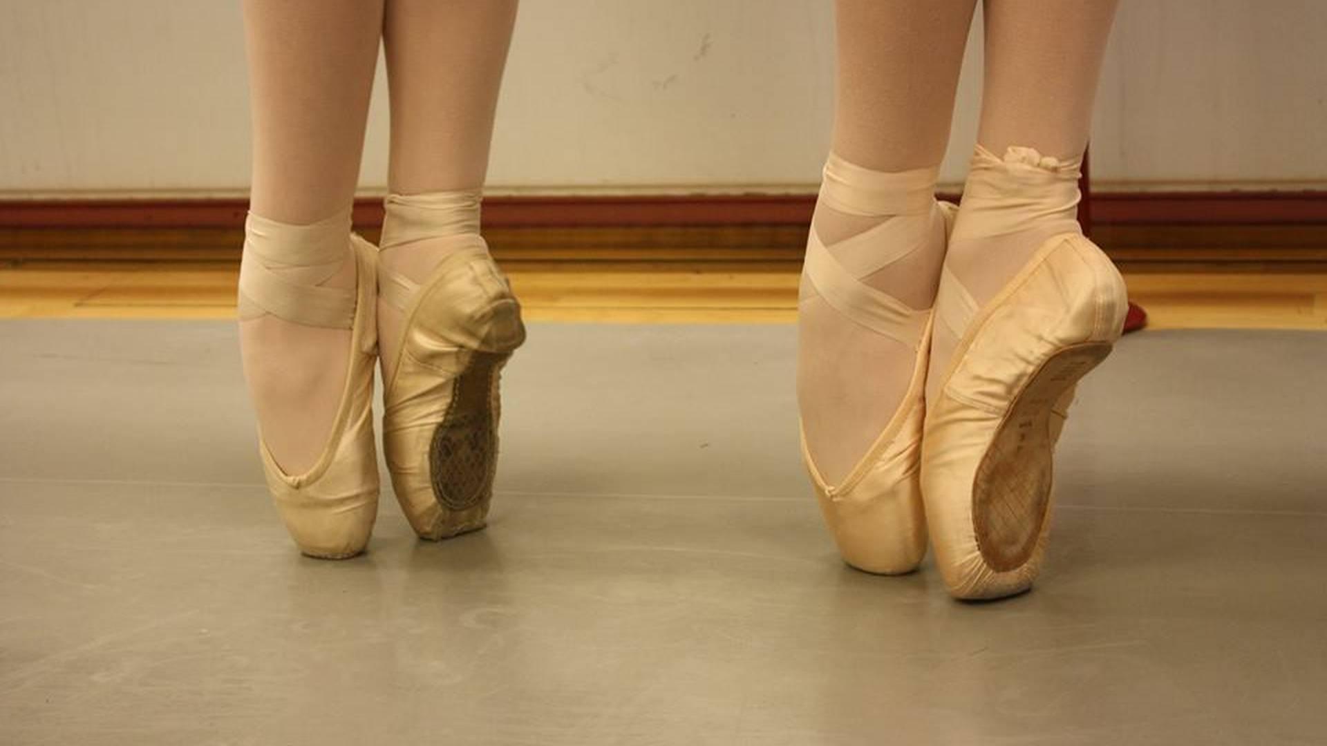 Lisayne Ballet School photo