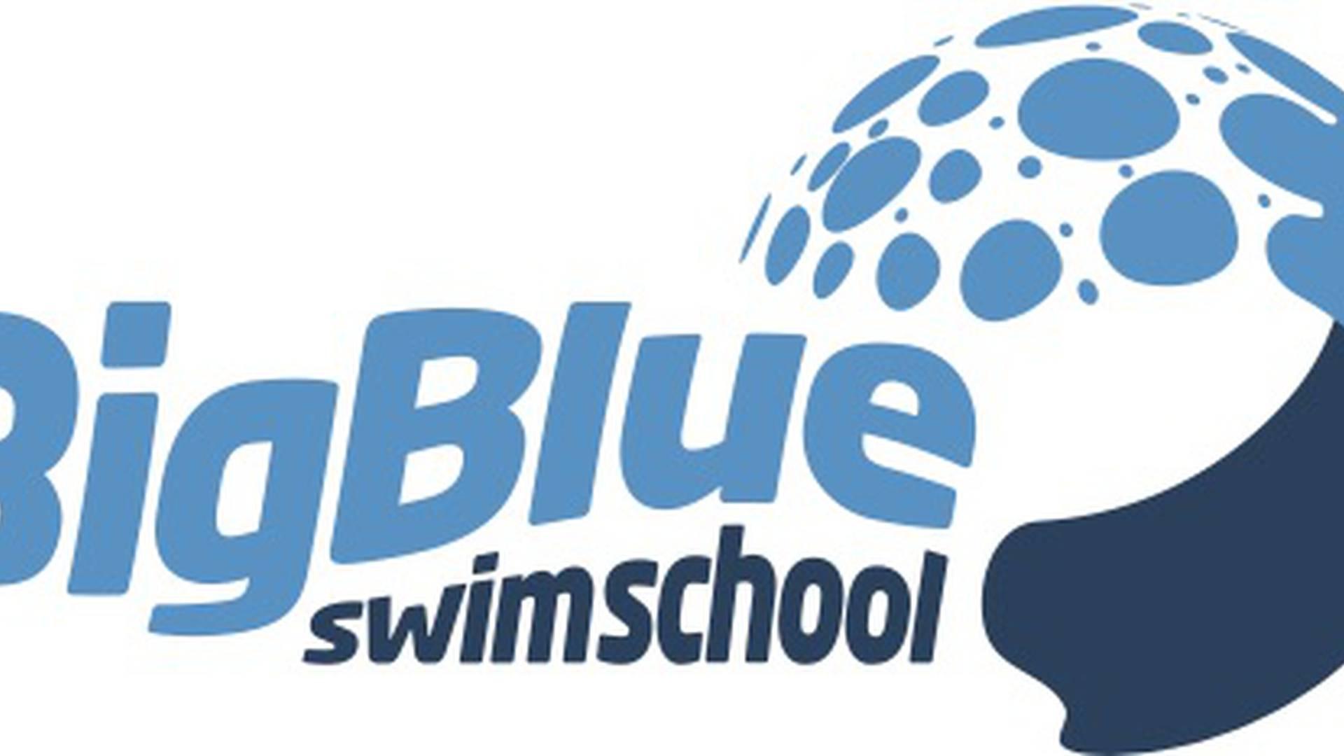 Big Blue Swim School photo