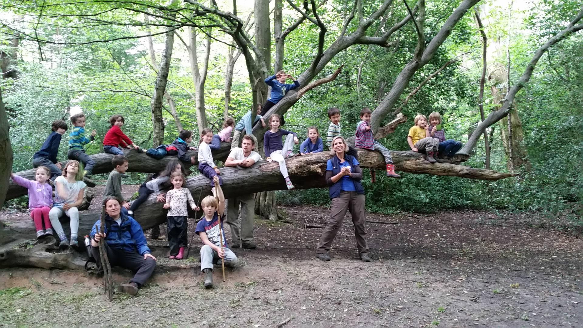 Wild about our Woods Holiday Club photo