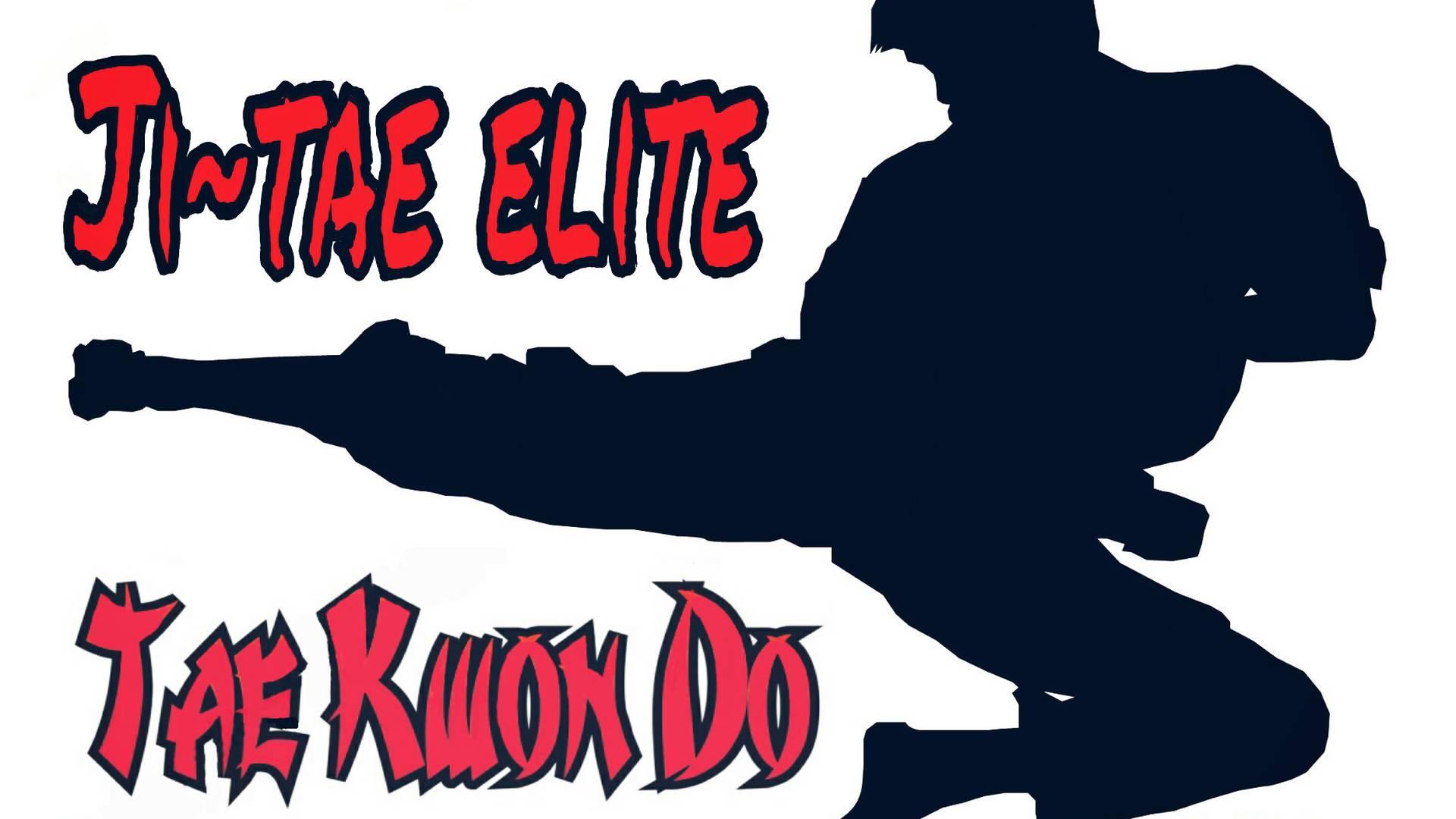 Ji Tae Elite Taekwondo Club photo