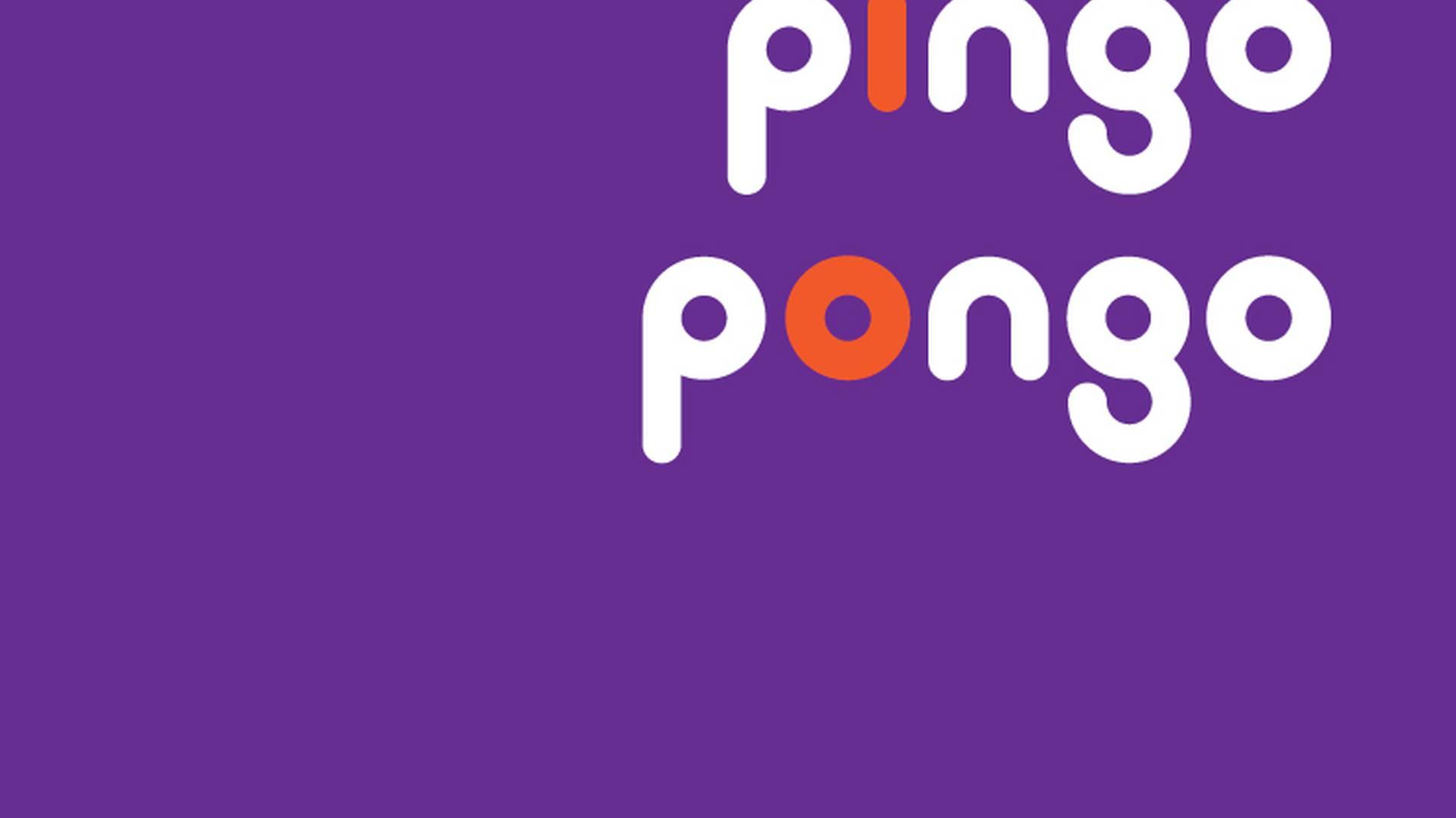 Pingo Pongo photo