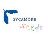 Sycamore Seeds: Cookery Lessons For Children logo