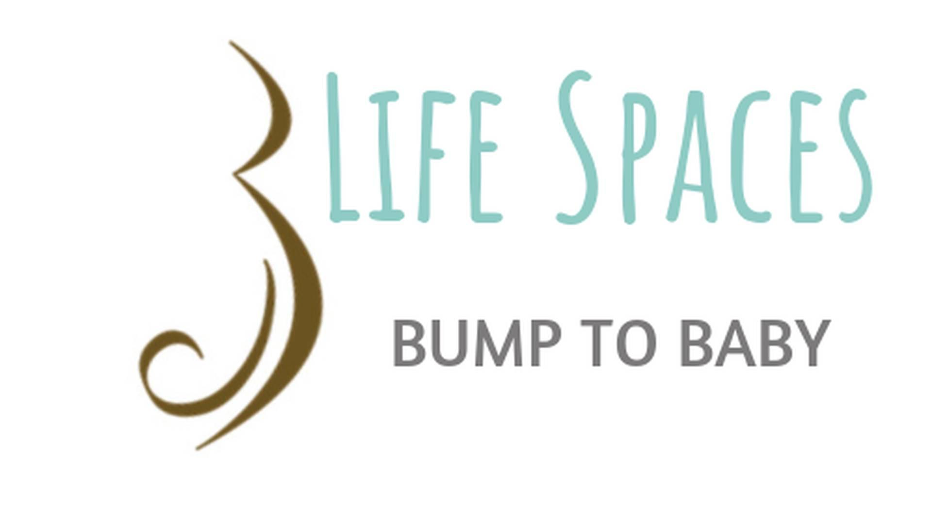 Life Spaces Bump to Baby photo