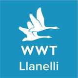 WWT Llanelli Wetland Centre logo