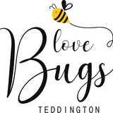 Love Bugs Teddington logo