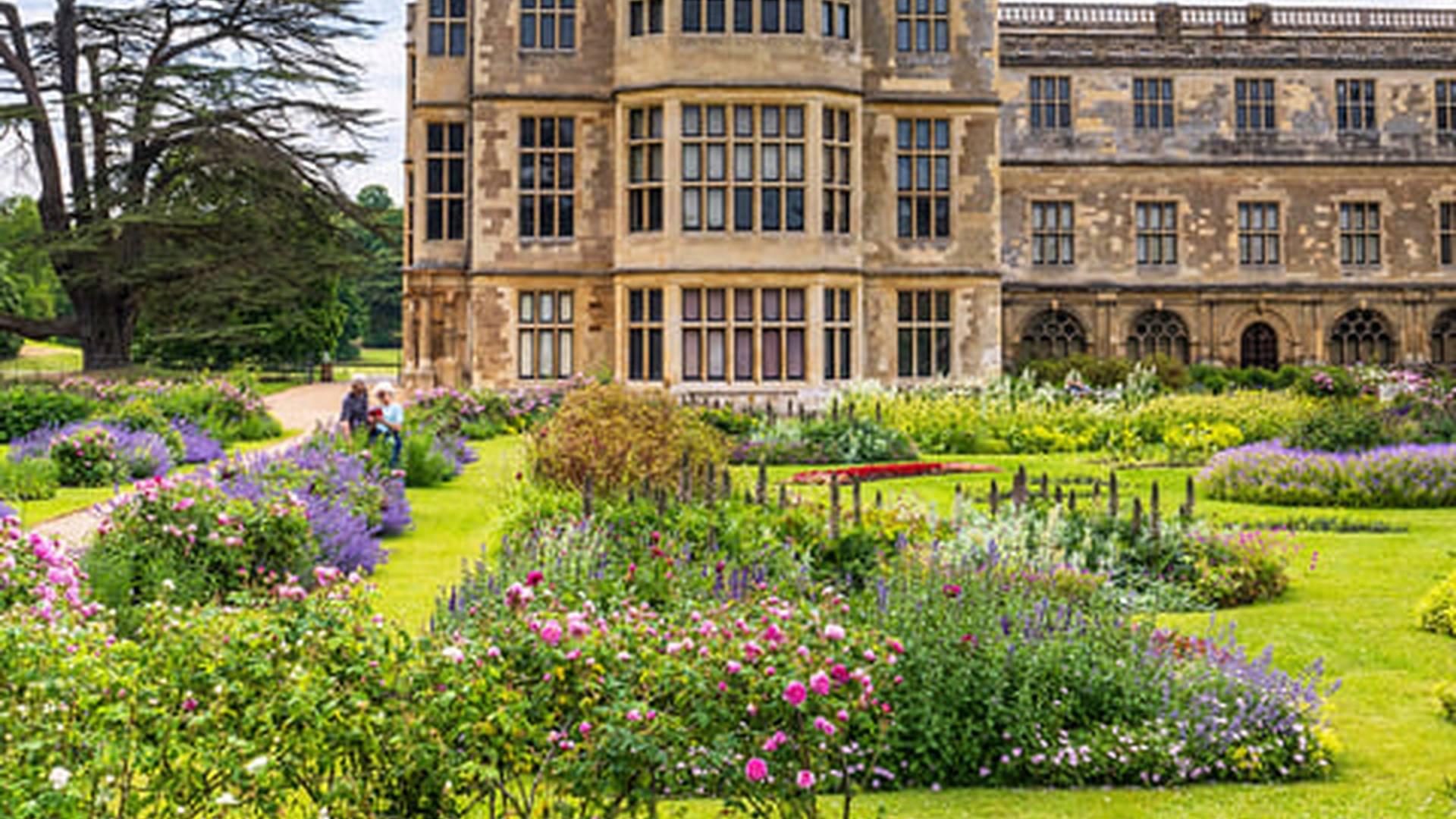 Members' Week: photo