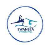 Swansea Gymnastics logo