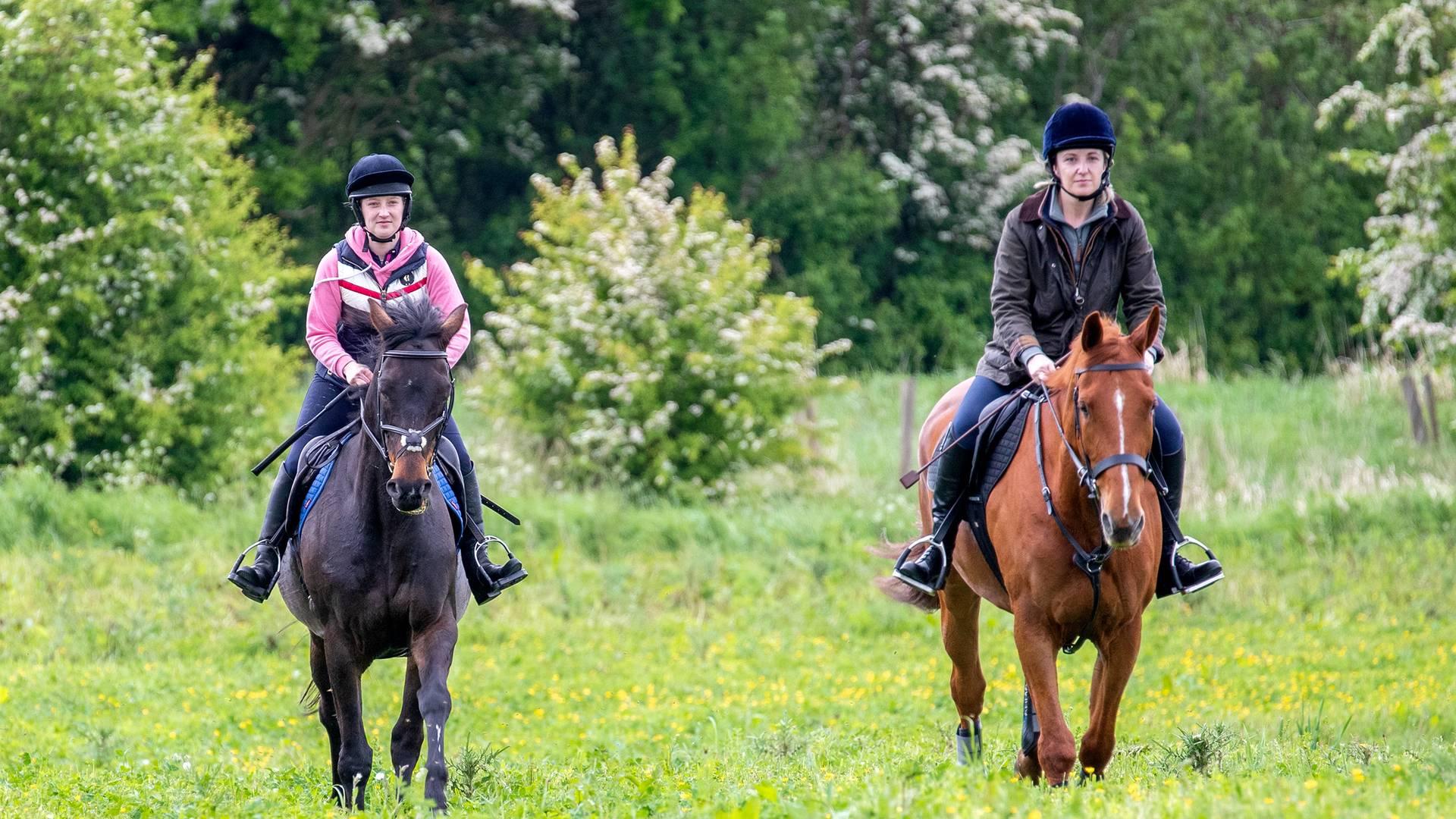 Bedale Pleasure Ride photo