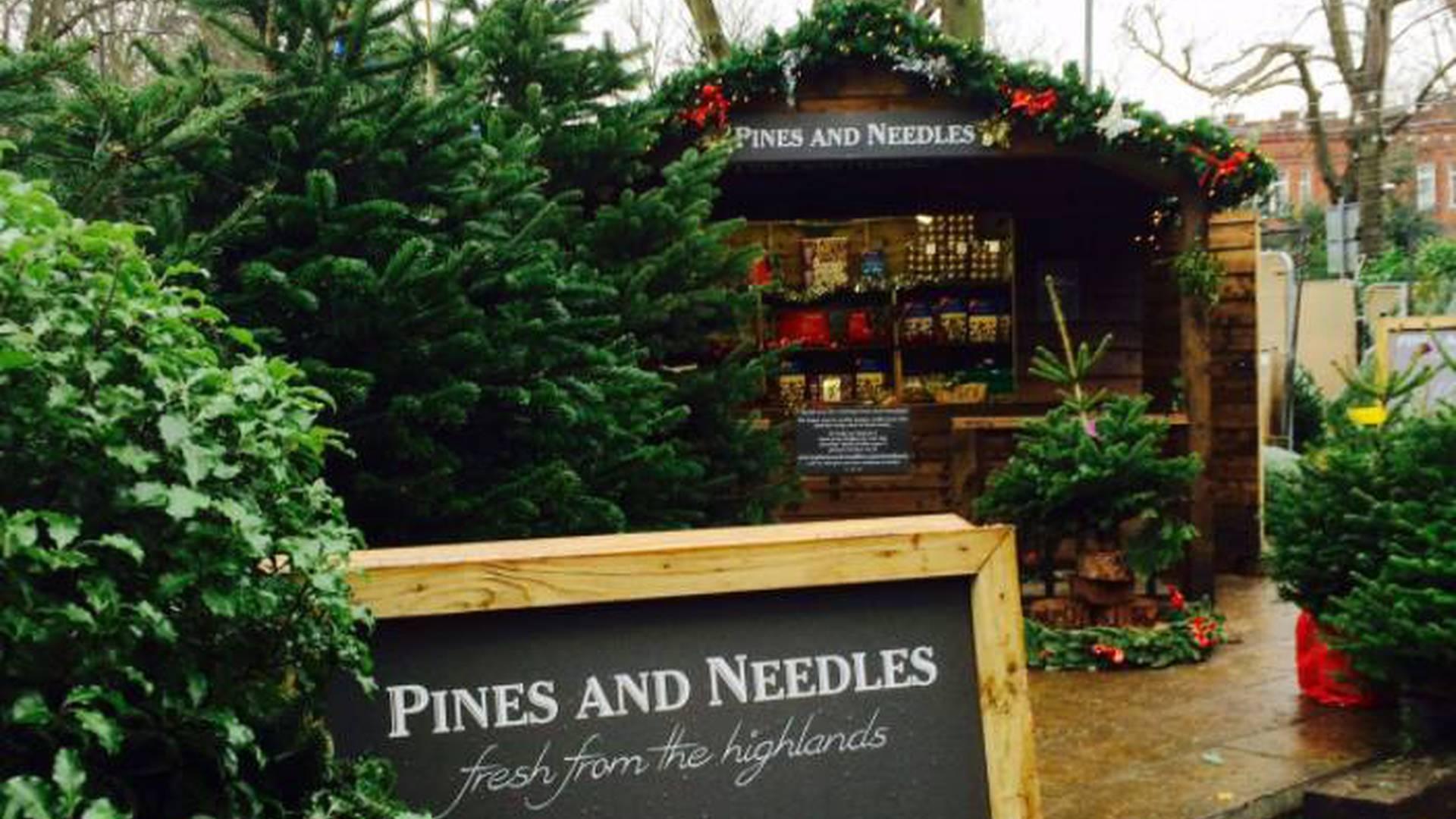 Pines and Needles photo