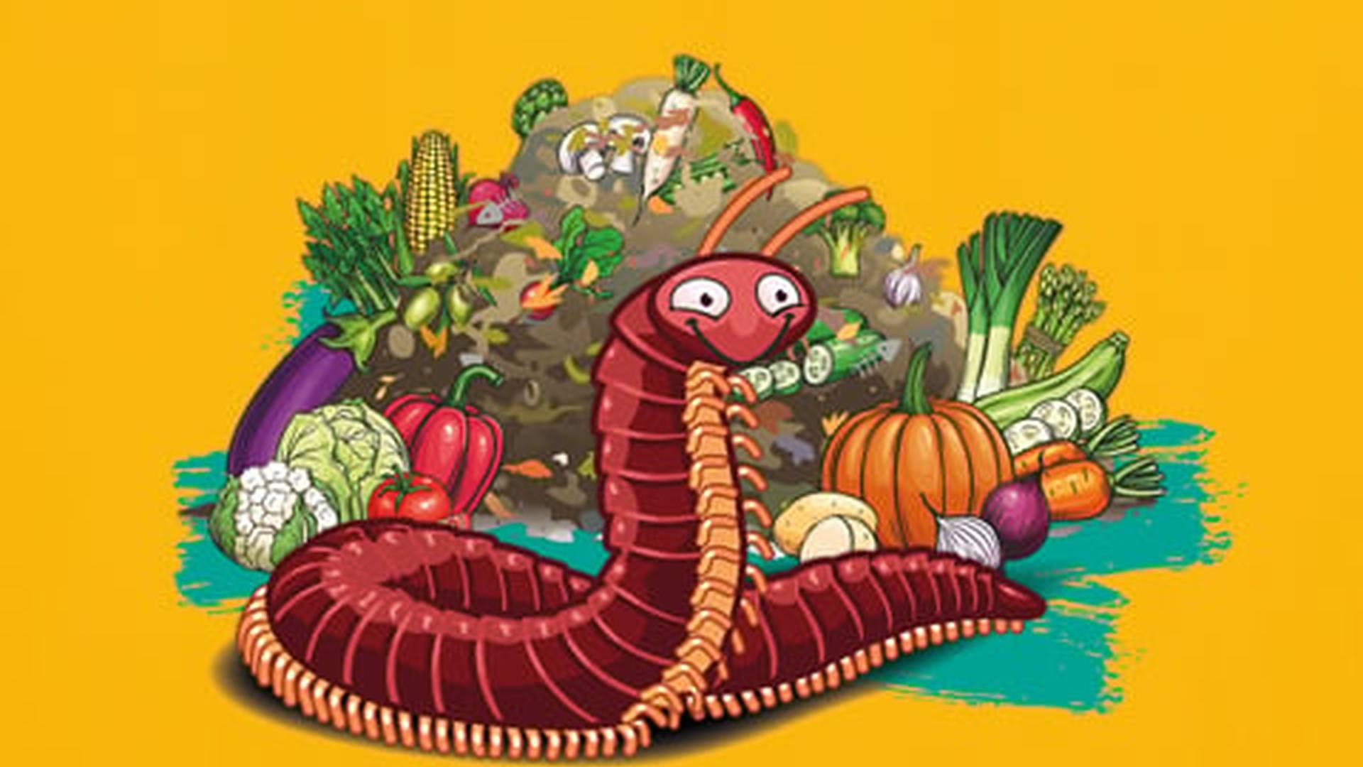 Members' Week: photo