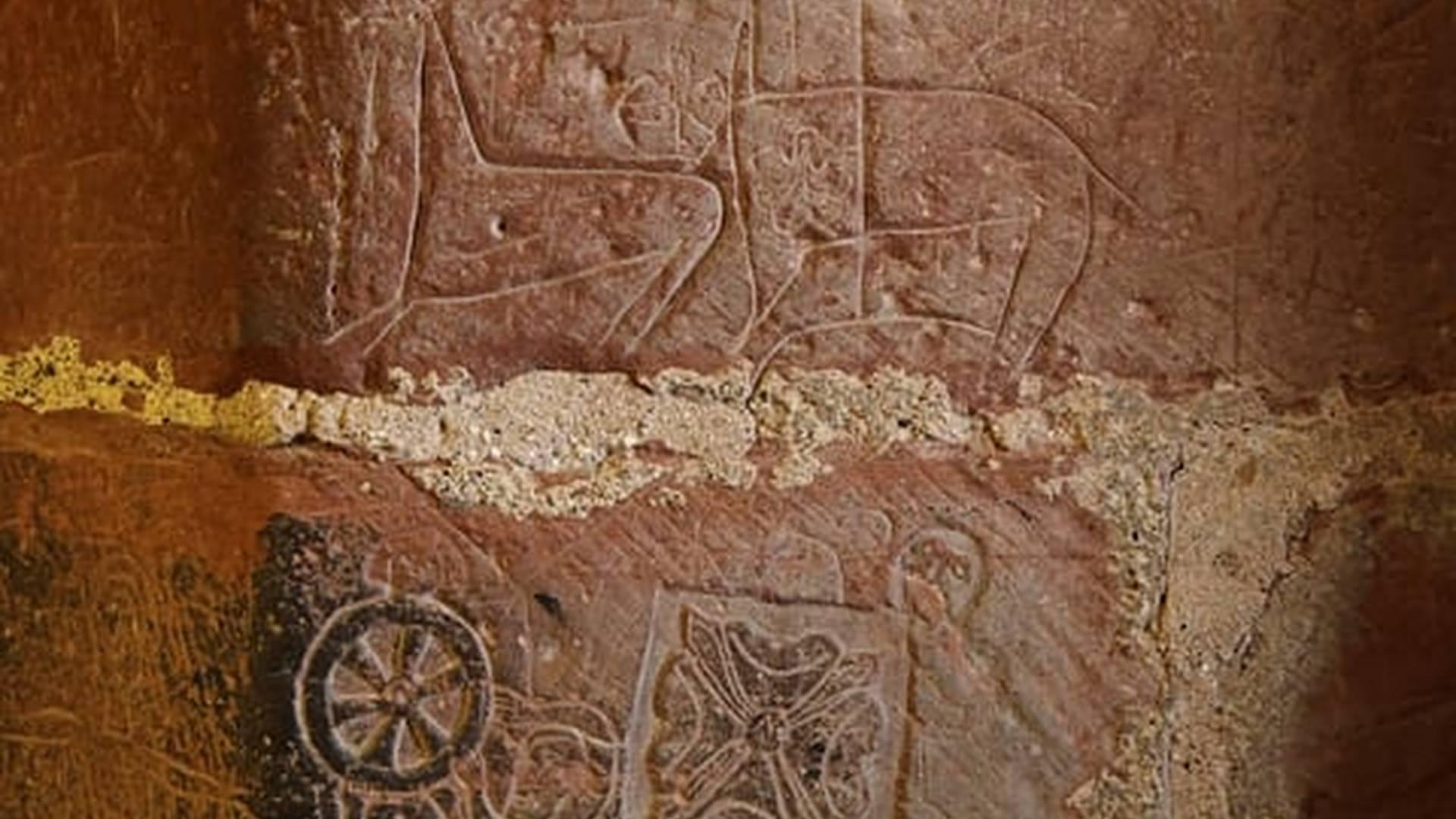 Members' Week: photo