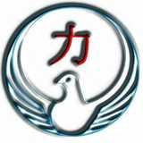 Chikara Wado Karate logo