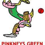 Pinkneys Green Cricket Club logo