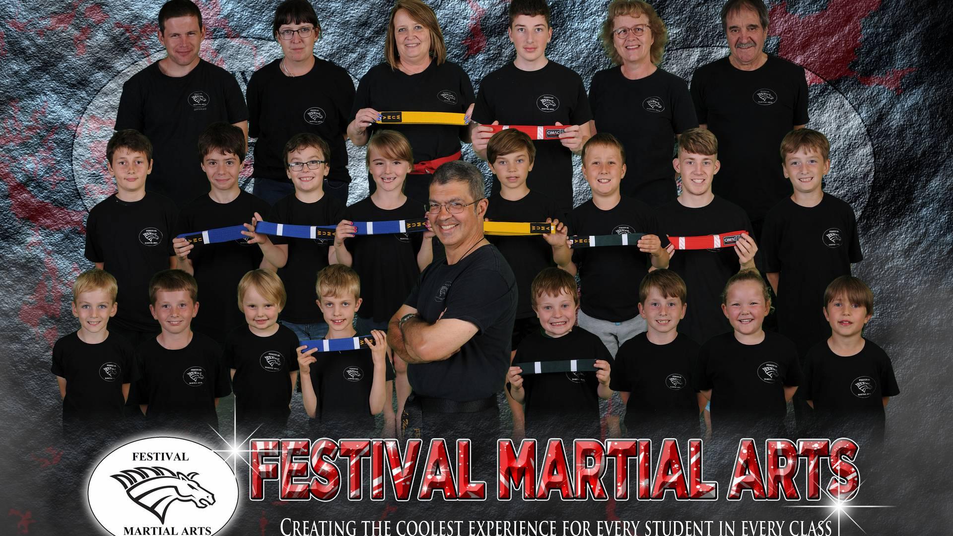 Festival Martial Arts photo