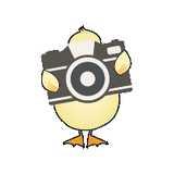 Little Duckling Photography Courses logo