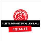 Little Giants Volleyball logo