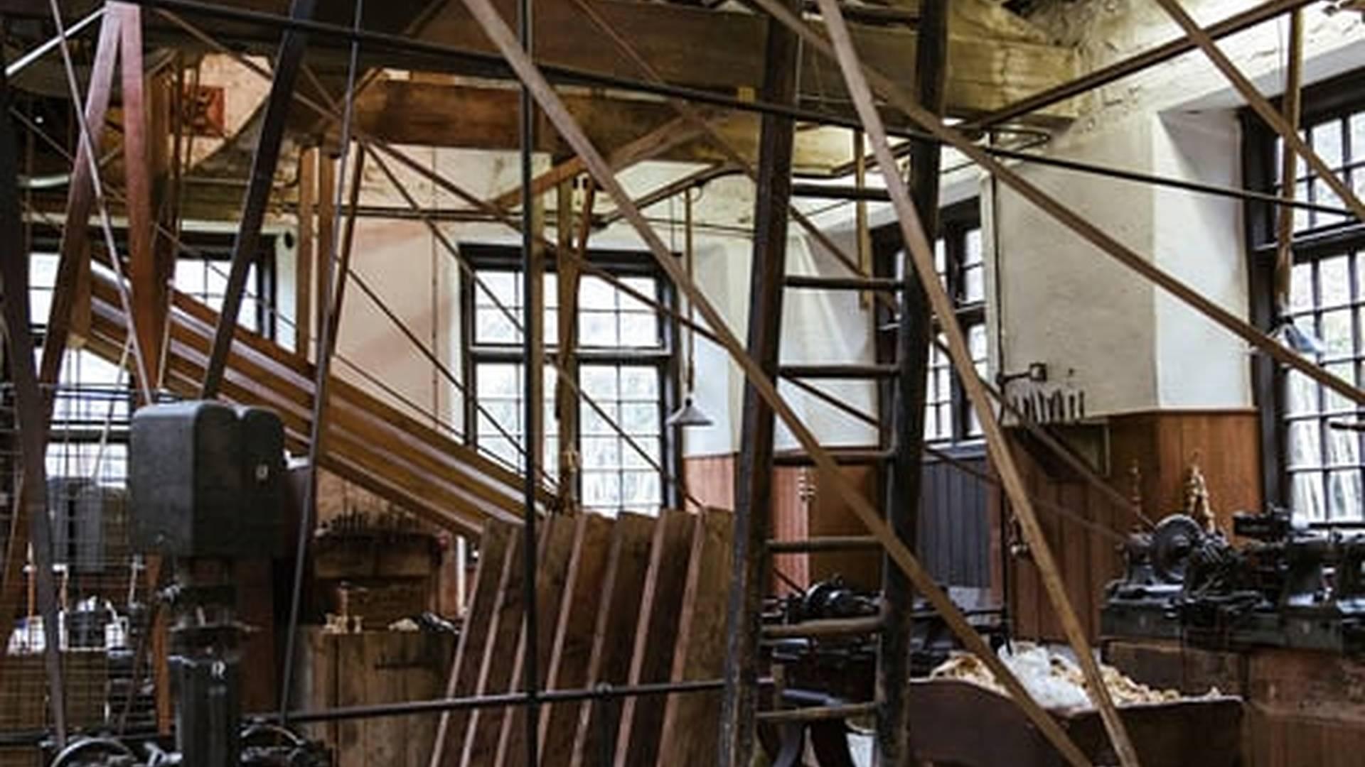 Members' Week: photo