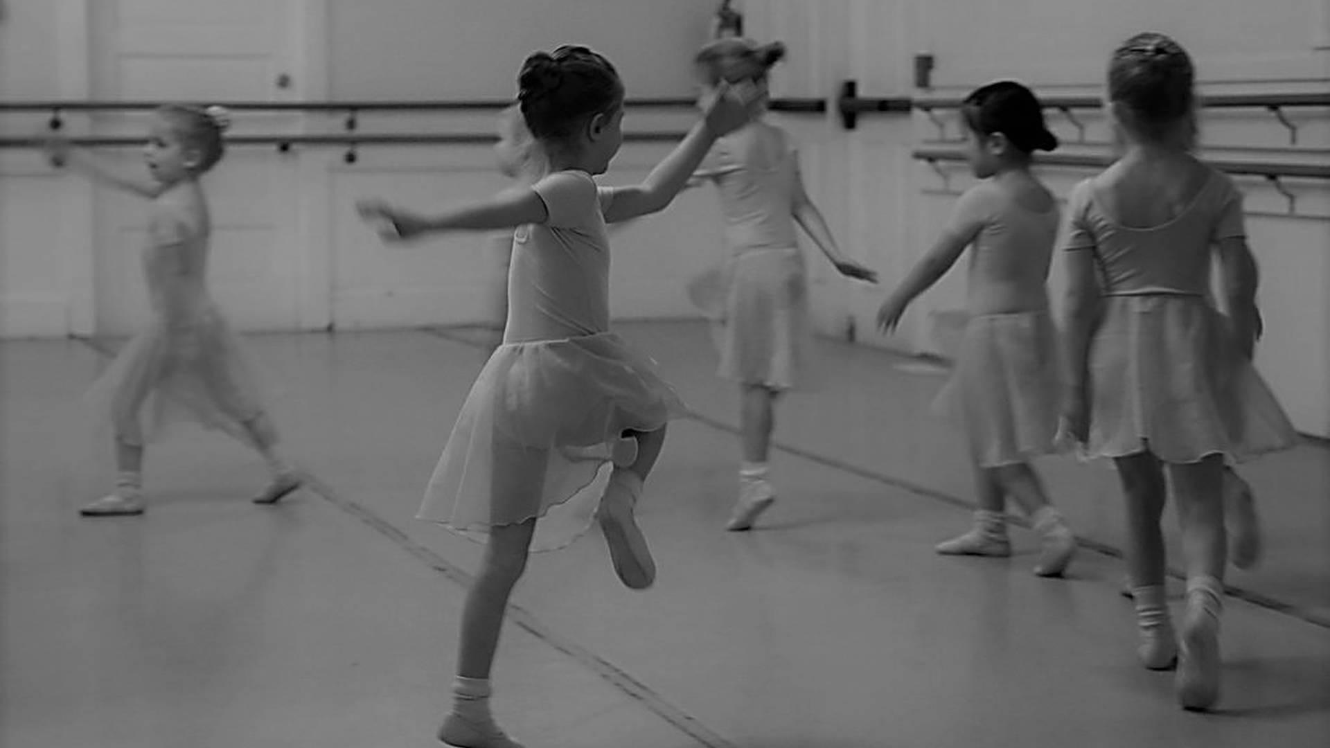 Prima School of Ballet photo