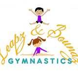 Leaps & Bounds Gymnastics Ltd logo