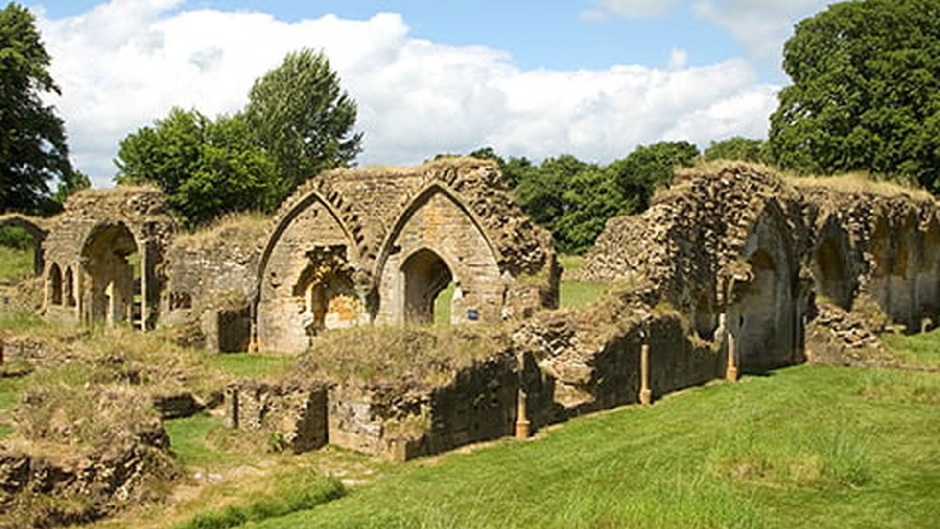 Members' Week: photo