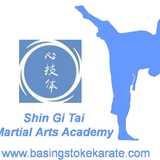 Shin Gi Tai Martial Arts Academy logo