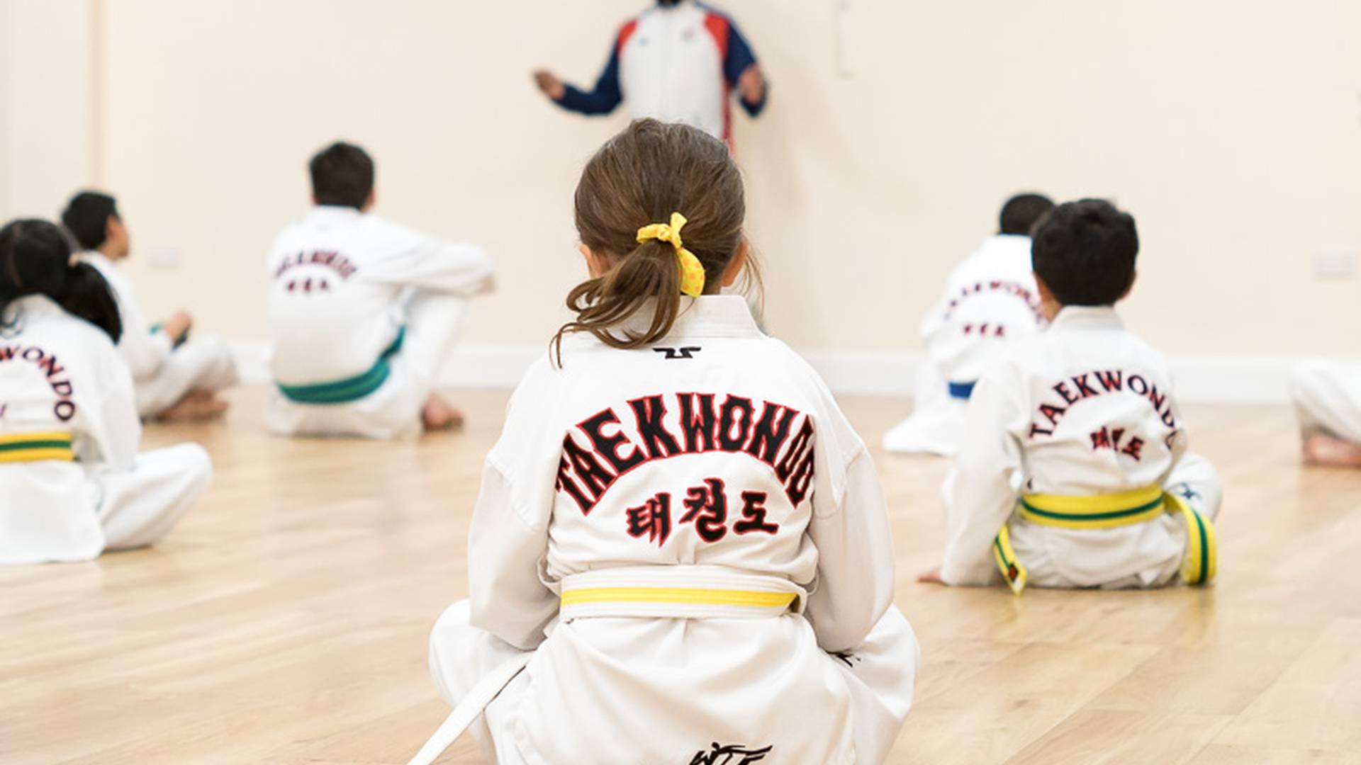Peak Performance Taekwondo Academy photo