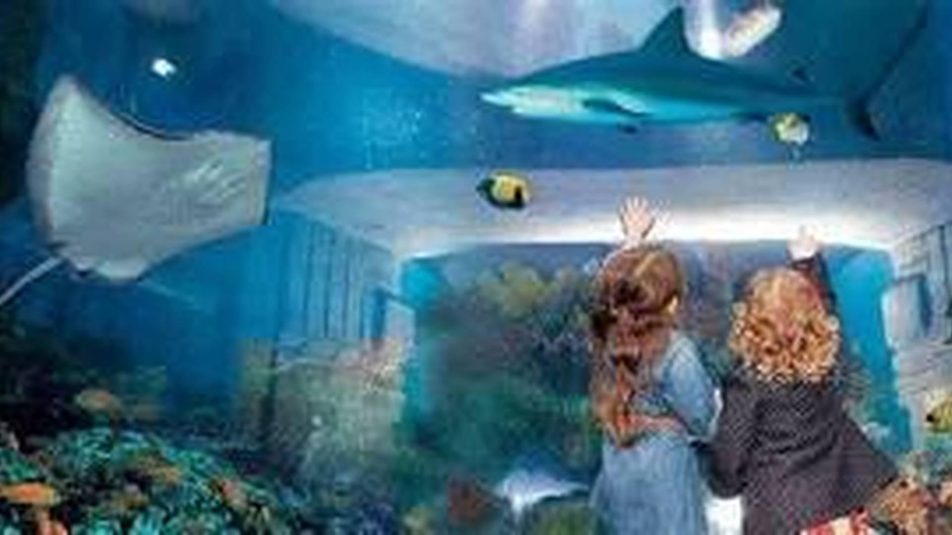 Tynemouth aquarium family day photo
