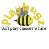 Playbugz Limited logo