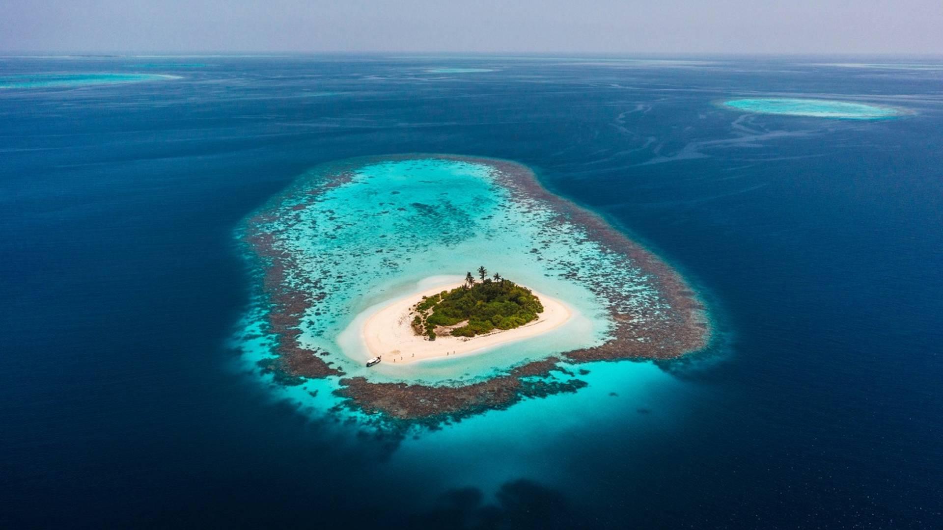 Deserted Island Diary photo
