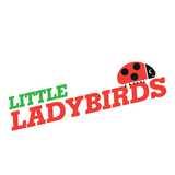 Little Ladybirds logo