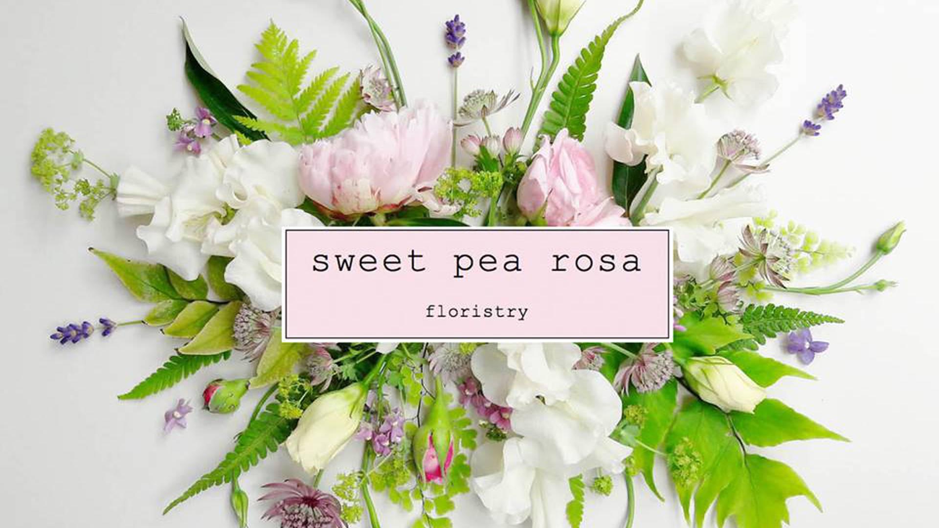 sweet pea rosa photo