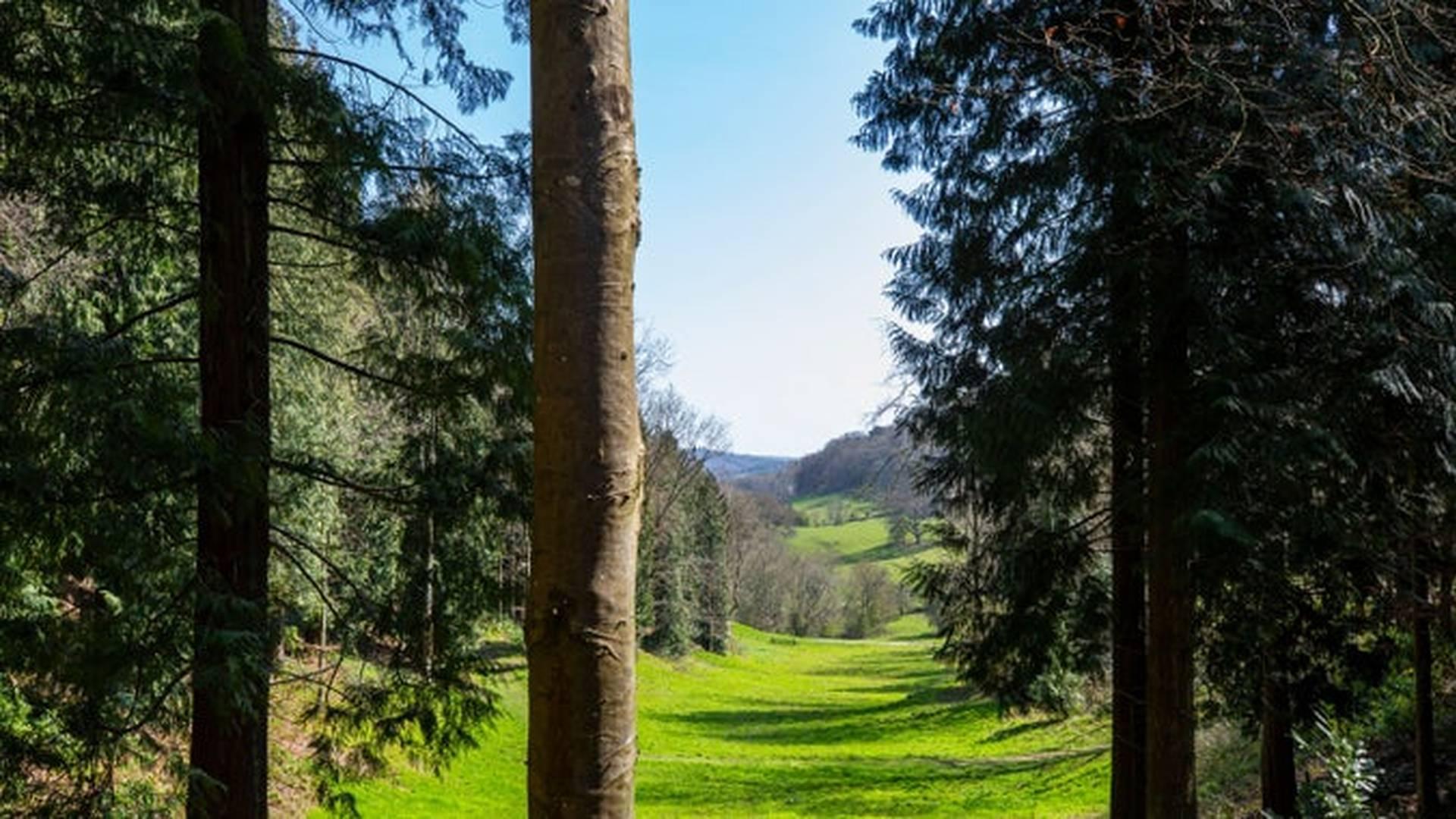 Summer Of Play At Tinkley Gate photo