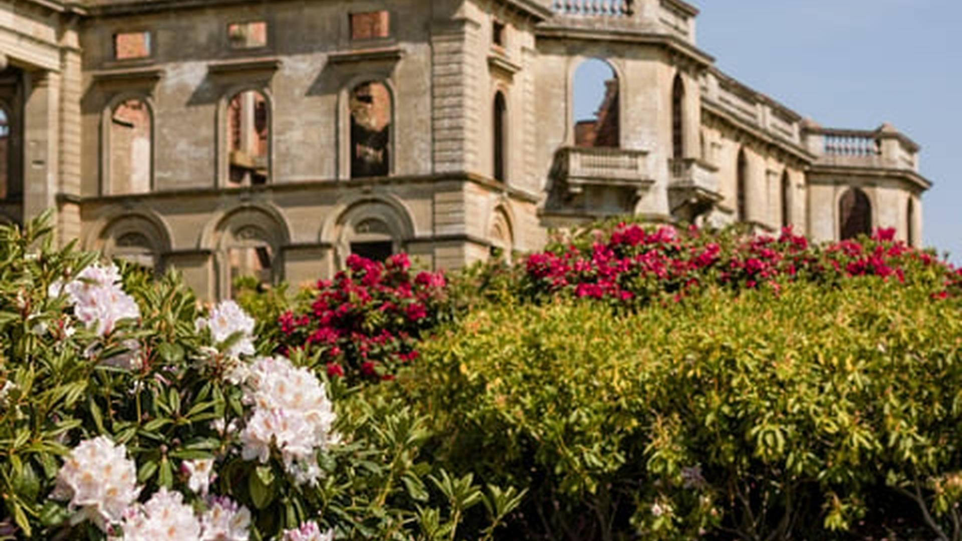 Evening Garden Tour At Witley Court photo